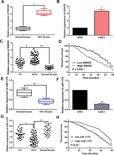 The Dysregulation Of LncRNA SNHG5 And MiR 1179 Was Found In NPC A The