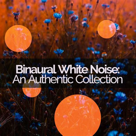 Binaural White Noise An Authentic Collection Album By Authentic