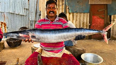 Kasimedu Cheetah Durai Big Ara Kola Fish Cutting Video In