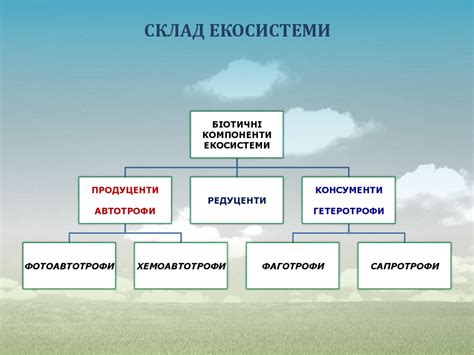 Екосистемологія. Екосистеми, їх структурна організація - online ...
