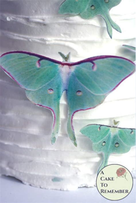 9 Edible Luna Moth Cake Decorations For A Woodland Wedding Etsy