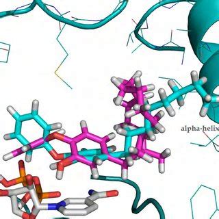 The Predicted Binding Modes Of Compound Pink And The X Ray Binding