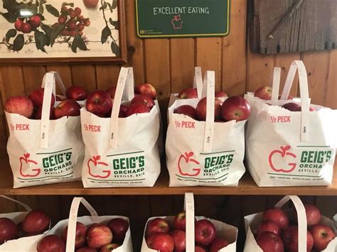 26 Pick Your Own Apple Orchards Near Cleveland To Check Out This Fall