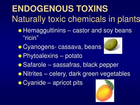 Ppt Todays Class Additives Pesticides And Natural Toxicants