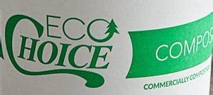 EcoChoice 20 Oz White Compostable Paper Hot Cup 600 Case