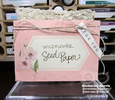 Procrastistamper A Paper Pumpkin Thing Blog Hop Hugs From Shelli