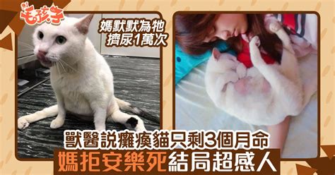 獸醫指癱瘓唐貓只剩3個月命 媽拒絕安樂死 結局超感人