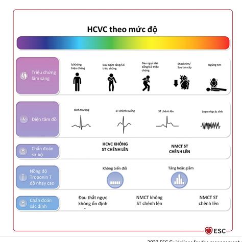 Khuyến Cáo Của Hội Tim Mạch Châu Âu Esc Về Hội Chứng Vành Cấp