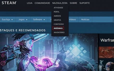 Como subir de nível na Steam