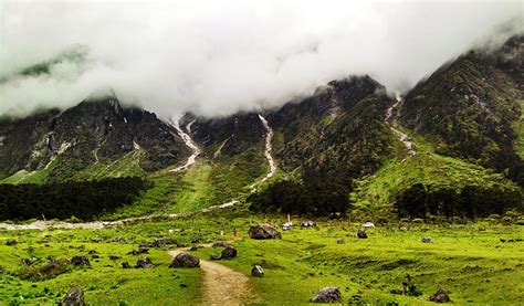 Yumthang Valley Of Flowers In Sikkim Bedouin Tours And Travels