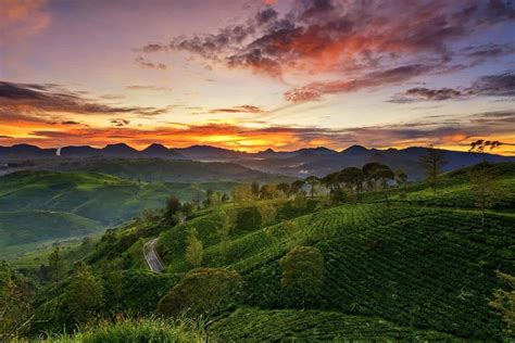 Sapa Mentari Pagi Di Sunrise Point Cukul Pangalengan