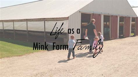 Mink - Virtual Farm Tour