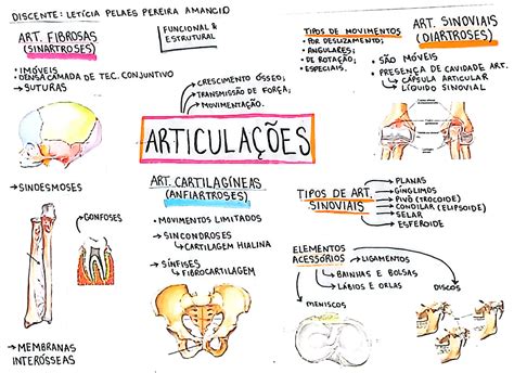 Sistema Articular Mapa Mental Braincp