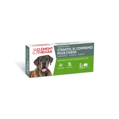 Strantel Xl Vermifuge Chien Bo Te De Comprim S