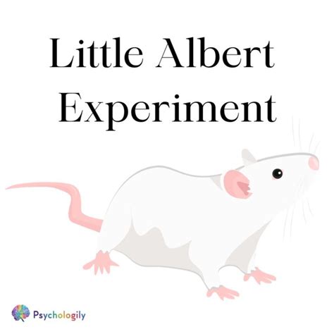 The Shocking Truth Behind the Little Albert Experiment: How One Study ...