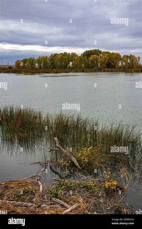 Sacramento River In The Sacramento San Joaquin River Delta Sacramento