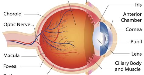Dealing with cataracts