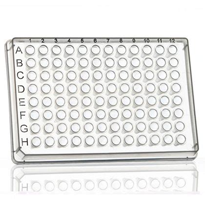 FrameStar PCR Plate 96 Well Skirted Azenta Life Sciences