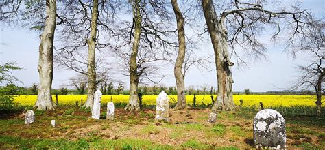 Yew Tree Cemetery Blueway Art Studio