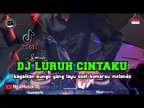 Dj Luruh Cintaku Bagaikan Bunga Yang Layu Saat Kemarau Melanda Remix