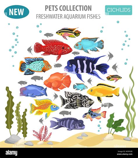 Süßwasser Aquarium Fische Rassen Icon Set Flat Style isoliert auf Weiss