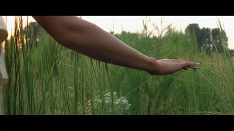 The New World Terrance Malick Slow Burn Natural World Motion