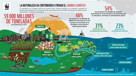 Nuevo Informe La Aliada Secreta Del Clima Descubriendo La Historia De