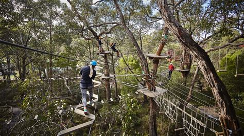 Tree Surfing At The Enchanted Adventure Garden Tour Mornington