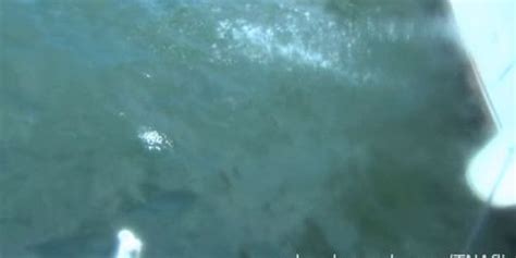 NEBRASKACOEDS Strippers With A Gopro Filming Themselves Naked Partying On A Lake Tnaflix