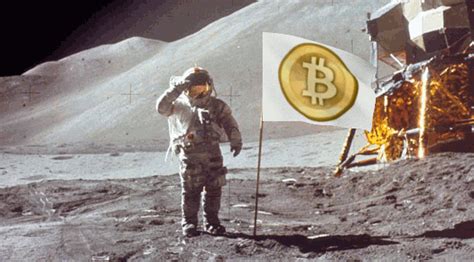 Quieres conocer cómo es la comunidad bitcoin Aprende de sus mejores memes