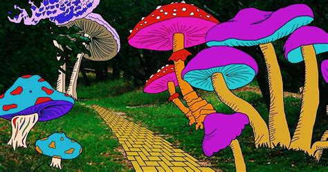 Oakland Decriminalizes Magic Mushrooms