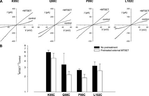 Modification of introduced cysteines by pretreatment with external ... 