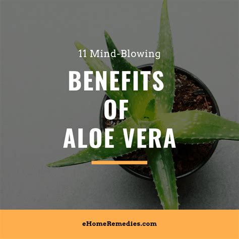 11 Mind-Blowing Benefits Of Aloe Vera