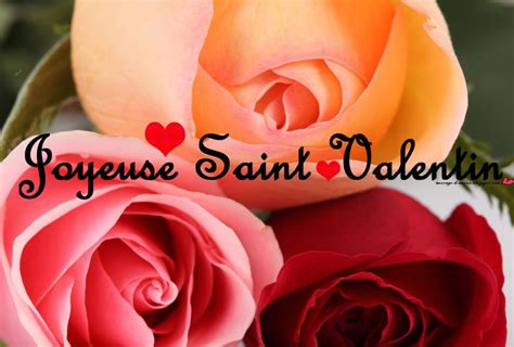 Cartes De Voeux Pour La St Valentin Message D Amour