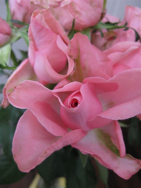 Canon Digital IXUS 80 IS Review - PhotographyBLOGPhotography Blog