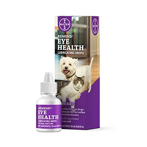 4 Best Dog Safe Eye Drops And Dog Eye First Aid Tips