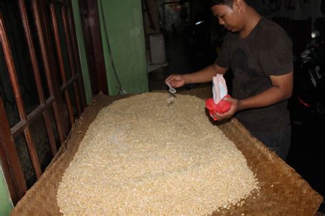 Proses Pembuatan Tempe Kedelai di Pabrik (foto): PROSES PEMBUATAN TEMPE KEDELAI DI PABRIK (Foto)