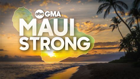 How To Help Maui Fire Victims From Afar Organizations And Efforts