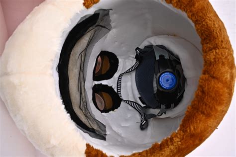 Ram Mascot Costume