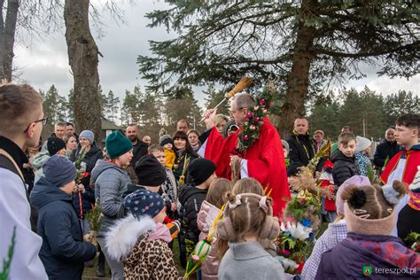 Niedziela Palmowa w Gminie Tereszpol Aktualności Gmina Tereszpol