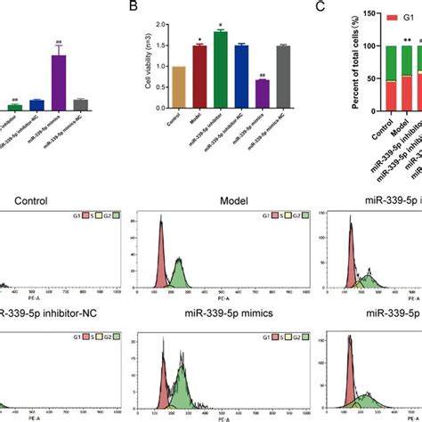 Overexpression Of Mir P Decreased Hbzy Cell Activity And