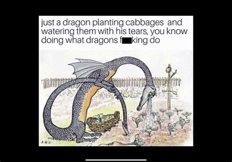 Funny dragon meme : r/dragons