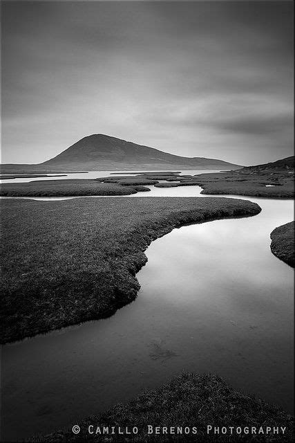 Salt marsh | Salt marsh, Landscape photography, Marsh