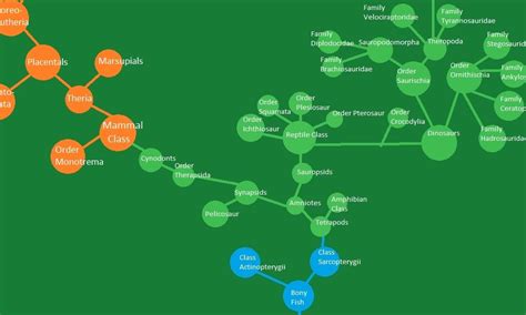 From Simple Organisms to Wise Humans: The Journey of Human Evolution Tree