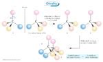 Chirality Definition And Examples