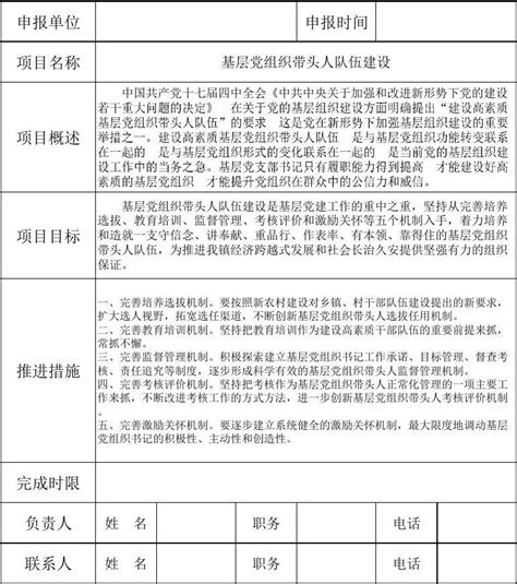 基层党组织队伍建设基层党建工作项目申报表word文档在线阅读与下载无忧文档