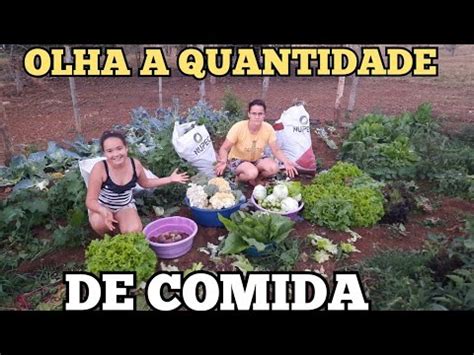 Olha A Quantidade De Verduras Que Colhemos Da Nossa Hortavamos