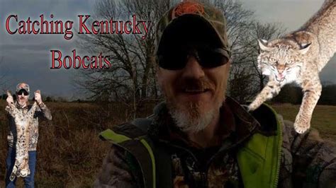 Catching Bobcats The Methods I Use How To Predator Trapping Ep12