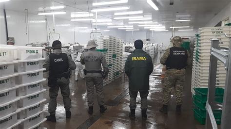 Ibama Apreende Toneladas De Pescado Ilegal No Rs