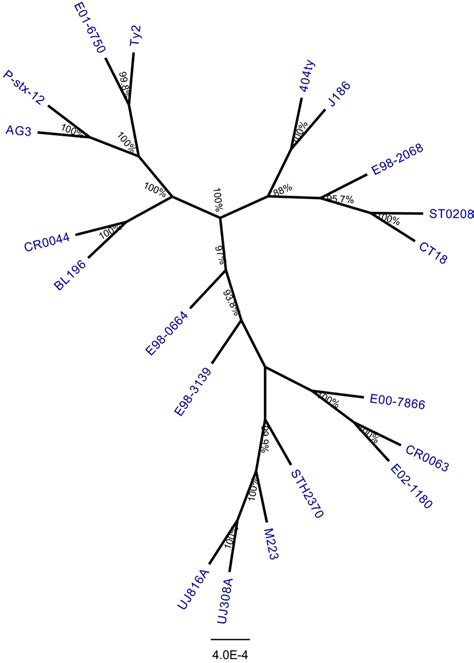 Phylogenomic Tree Inferred By Approximately Maximum Likelihood Method